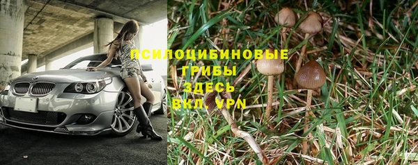 mdpv Елабуга