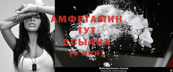 дмт Ельня