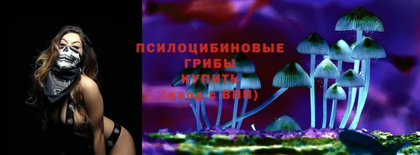 дмт Ельня