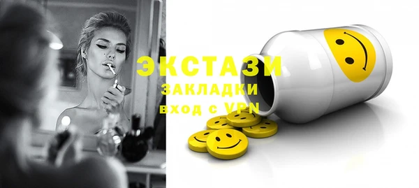 дмт Ельня