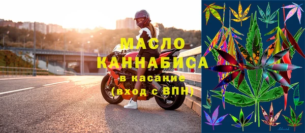 дмт Ельня
