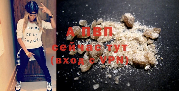 дмт Ельня