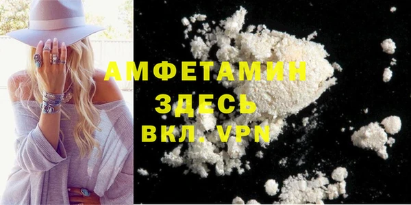 дмт Ельня
