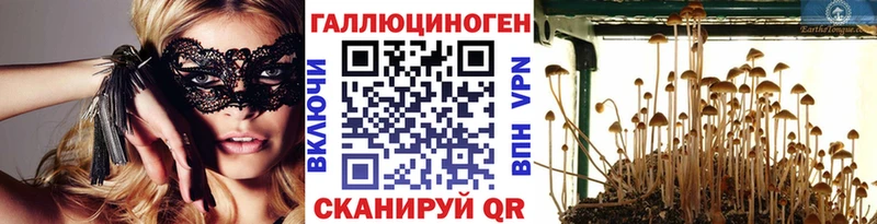 Псилоцибиновые грибы GOLDEN TEACHER  Купить где  Иннополис 