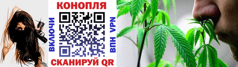 Марихуана план  Купить  Иннополис 